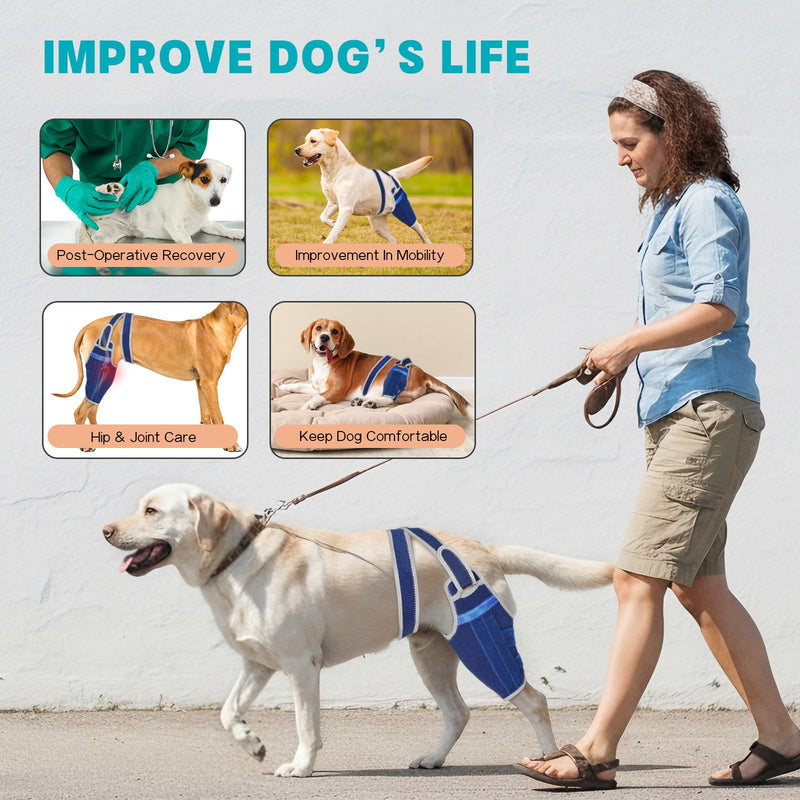 Dog Knee Brace for Torn ACL Hind Leg–Adjustable Support Dog Leg Brace for Back Leg with 2 Stabilizers, Hip Support to Reduces Pain Luxating Patella, Ligament Injuries, CCL (Blue, Left Leg, L)