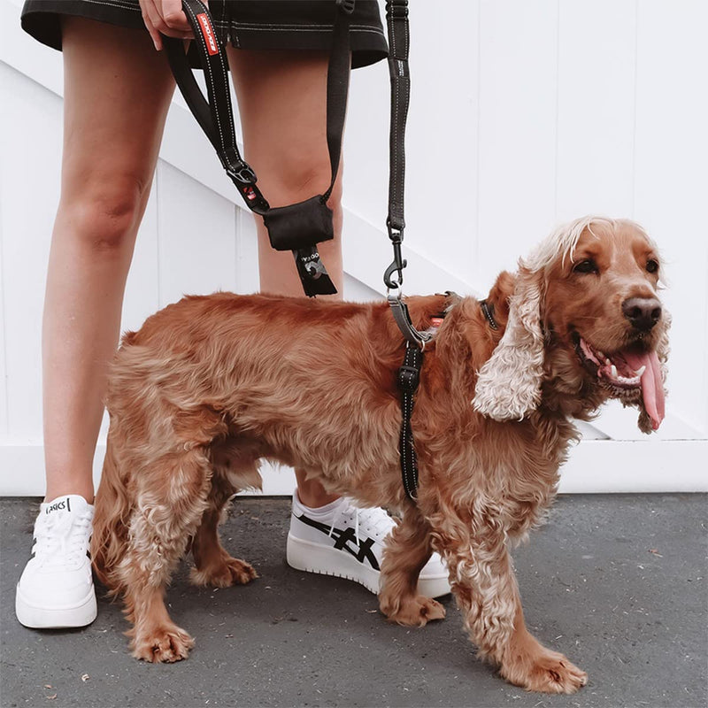 EZYDOG Crosscheck Training Harness | Anti Pull Harness, Dog Harness for Small, Medium and Large Dogs, Dog Training Accessories, Reflective, Adjustable Size (S, Black) S