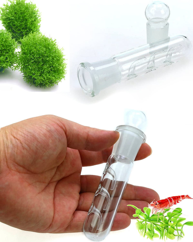 Planaria Trap Crystal Red Shrimp Tank Aquarium Bristle Worm Catcher, Shrimp Dwarf Shrimp Ghost Shrimp Live Freshwater Cleaning Supplies Clear Glass Leeches Catching Tube (3 Holes) - PawsPlanet Australia
