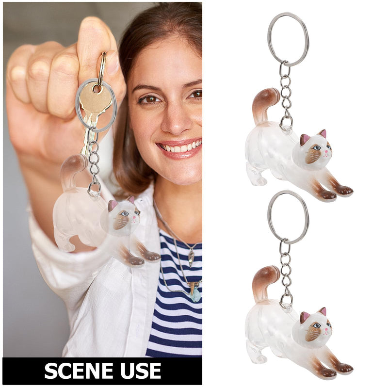 2 Pieces Transparent Cat Hair Container Organizer Made of Plastic and Alloy with Cat Shape Portable Keepsake Box Keyring for Everyday Use and Special Occasions