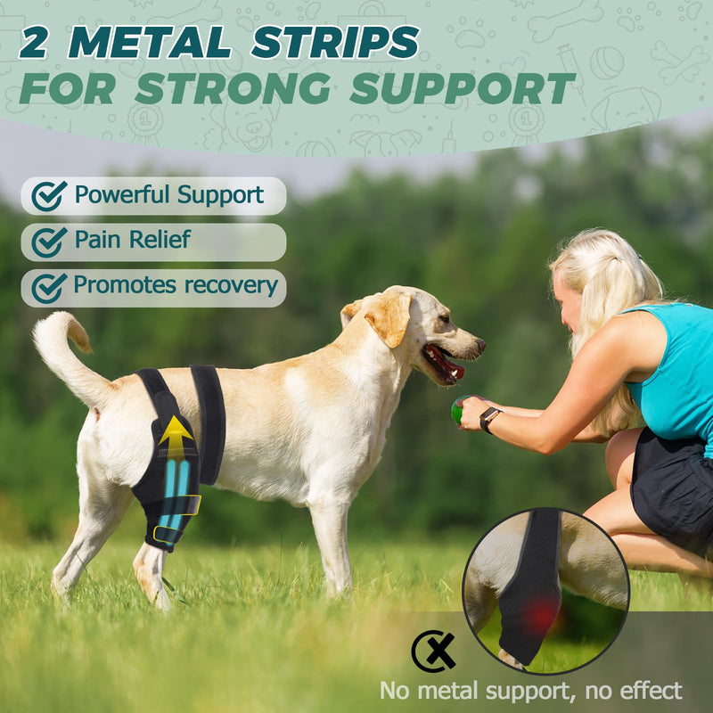 Dog Knee Brace for Torn Acl Hind Legs – Adjustable Support Brace with 2 Stabilizer Support to Reduces Pain, Ligament Injuries & Luxating Patella for Small Medium Large Dogs (Right Leg, S)