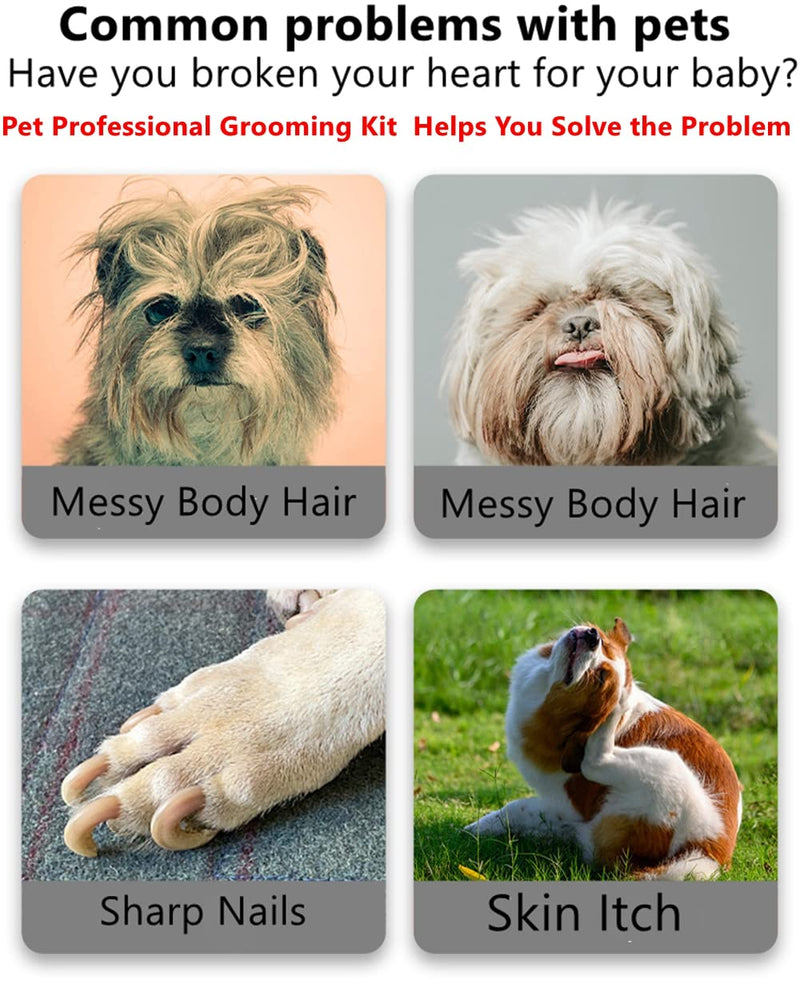 Rabbit Professional Nail Clippers Grooming Kit with Pet Shedding Slicker Brush, Pet Grooming Comb, Nail Clipper Trimmer for Rabbit, Puppy, Kitten, Guinea Pig, Hamster, Ferret (4PCS) 4PCS