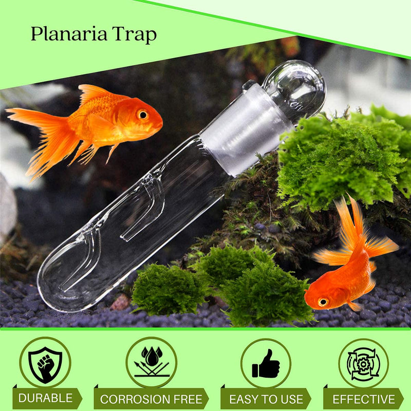 Planaria Trap Crystal Red Shrimp Tank Aquarium Bristle Worm Catcher, Shrimp Dwarf Shrimp Ghost Shrimp Live Freshwater Cleaning Supplies Clear Glass Leeches Catching Tube (3 Holes) - PawsPlanet Australia