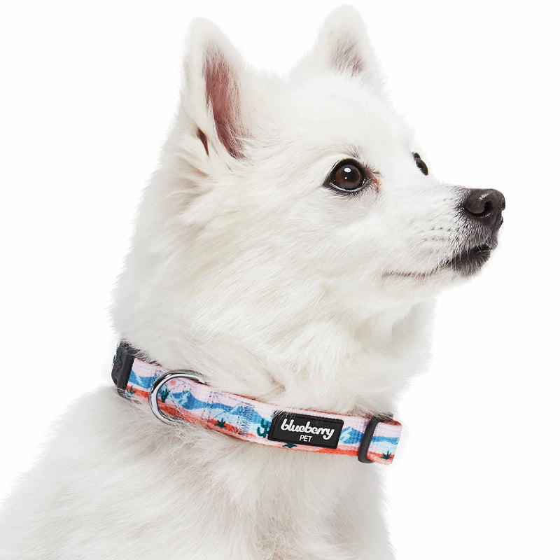 Blueberry Pet Mountain Climbing Fun Adjustable Dog Collar, Large, Neck 18"-26" Mountain - Collar - PawsPlanet Australia