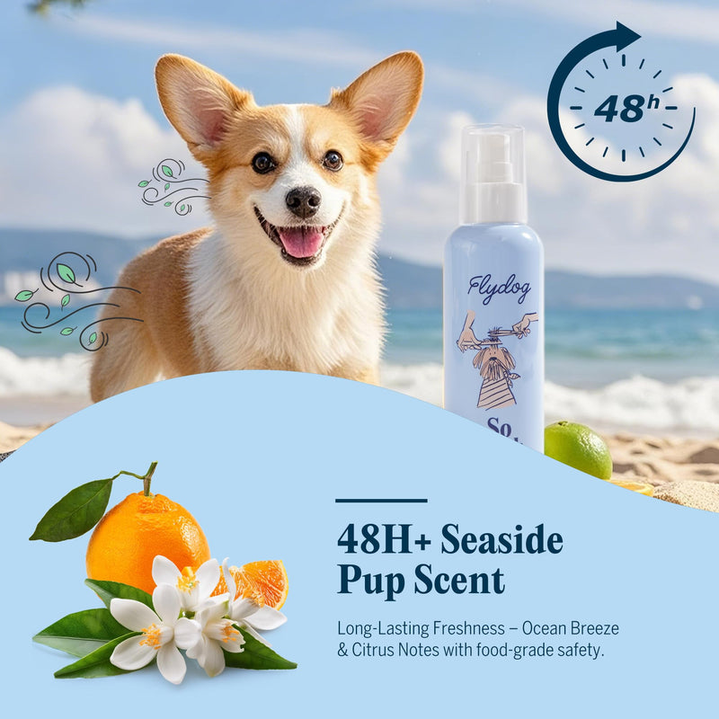 FlyDog Detangler Combo for Dogs & Cats – Leave-in Hair Detangler Spray for Tangle-Free Grooming & Tailored Comb for Dematting & Deshedding | Coat Conditioner | Deodorizing & Long-Lasting Freshness Detangler Spray + Premium Pet Grooming Rake - PawsPlanet Australia