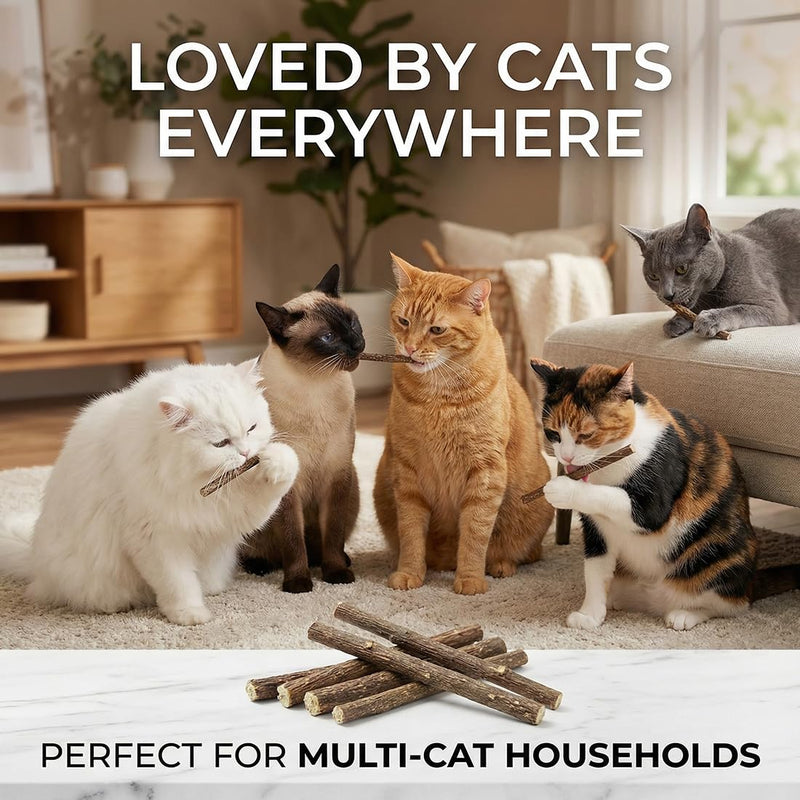 5 Sticks for Cats Dental Care Natural, Chew Bone Against Bad Breath Toothbrush and Cat Toy Made of Wood for Self-Employment