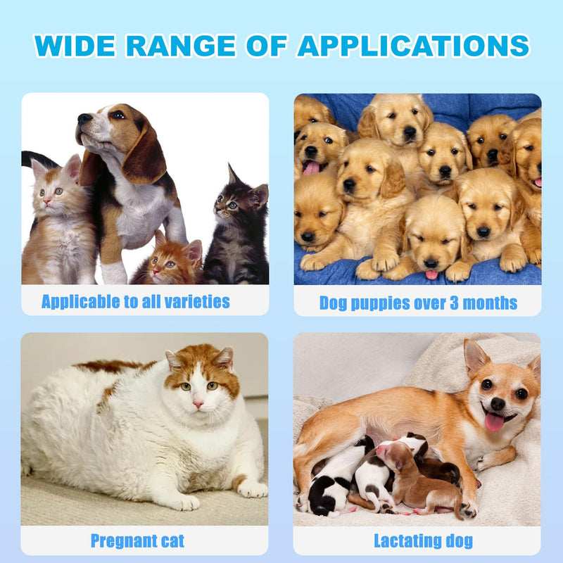JoanofArc Wound Spray for Pets, Dog Wound Care Hydro, Helps with Itch, Bites, Gentle Non-irritating, Wound Care for Dogs Cats, 30ml