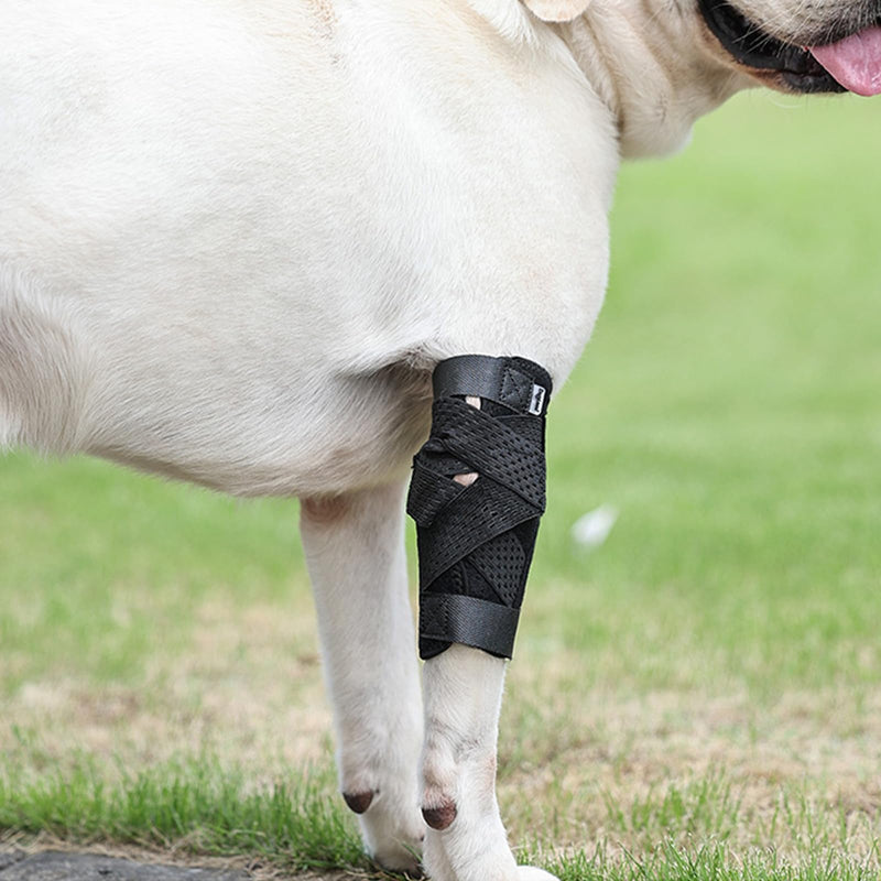 (S/M) Dog Canine Front Leg Brace Wrap, Pair of Dog Leg Compression Sleeve Brace Wrap with Metal Strips Protects Wounds Brace Heals and Prevents Injuries & Sprains Helps Arthritis - PawsPlanet Australia