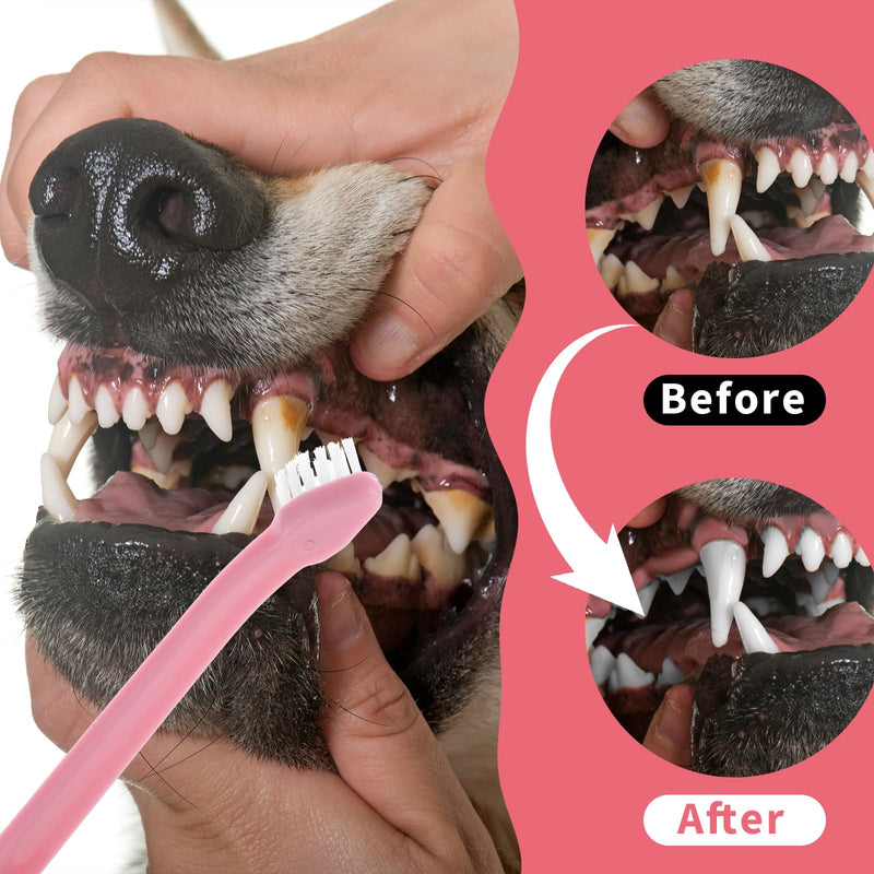 8-Piece Dog Toothbrush Set, Soft Dog Toothbrush for Small Dogs, Cats, and Puppies, Mini Portable Travel-Friendly and Easy to Use for Puppies