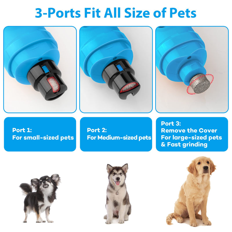 Casfuy Dog Nail Grinder with 2 LED Light - New Version 2-Speed Powerful Electric Pet Nail Trimmer Professional Quiet Painless Paws Grooming & Smoothing for Small Medium Large Dogs and Cats SkyBlue - PawsPlanet Australia