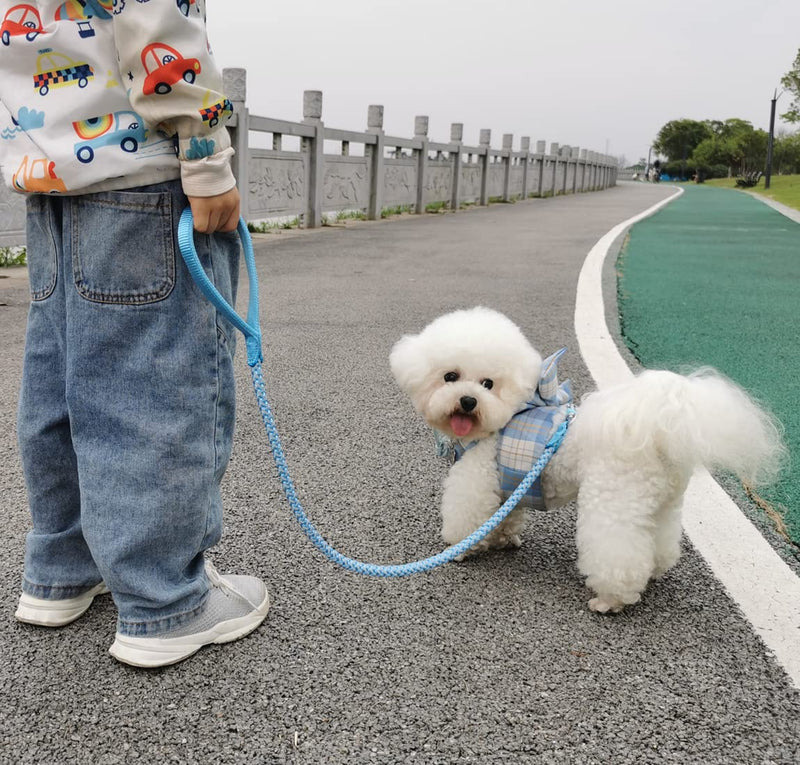 Rope Dog Leash- 2/3/4/6/10 Foot Reflective Dog Leash- Strong Nylon Braided Heavy Duty Dog Training Leash for Large and Medium Small Dogs Walking Leads (Sky Blue- 3 feet) 3ft * 1/2" Sky blue - PawsPlanet Australia