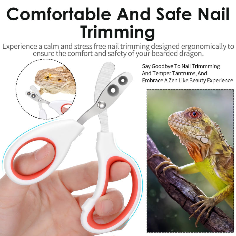Stainless Steel Bearded Dragon Nail Clippers, Lizard Nail Clippers, Bearded Dragon Tank Accessories, Beardedd Dragons Accessories, Pet Nails Clipper for Small Reptiles,Turtle,Chameleon - PawsPlanet Australia