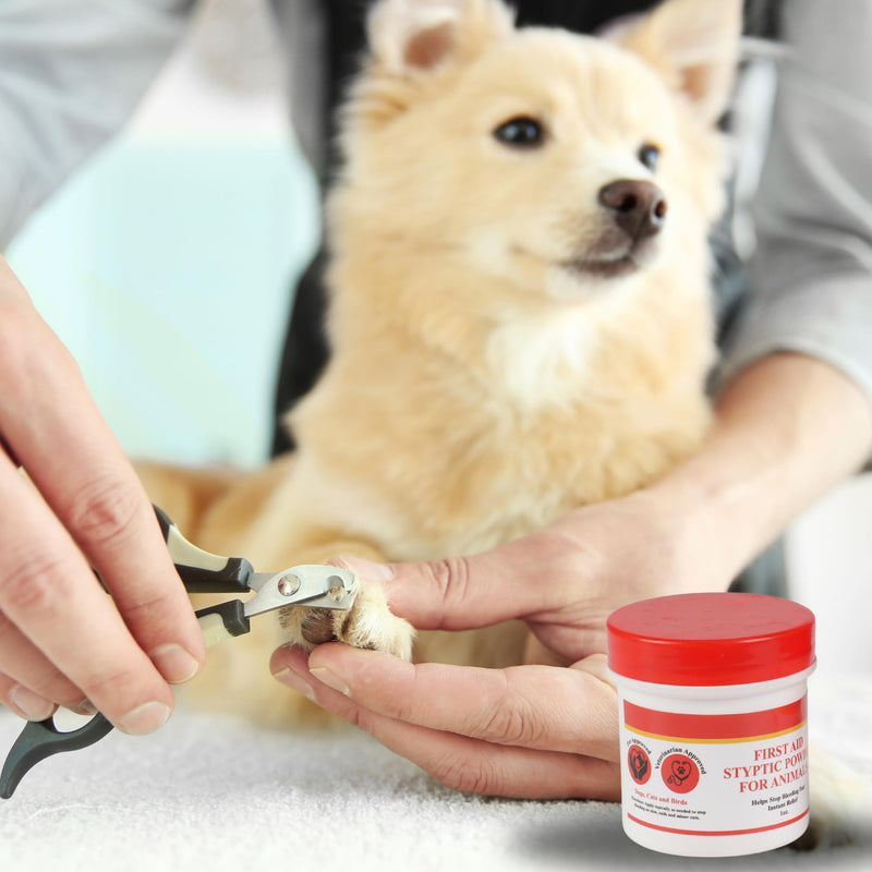 G.B.S Styptic Powder for Animals – Fast-Acting Blood Stop for Dogs, Cats, Birds & Small Pets – First Aid Powder for Nail Bleeding, Minor Cuts & Grooming – 1 oz, Pack of 1 1 ounce - PawsPlanet Australia