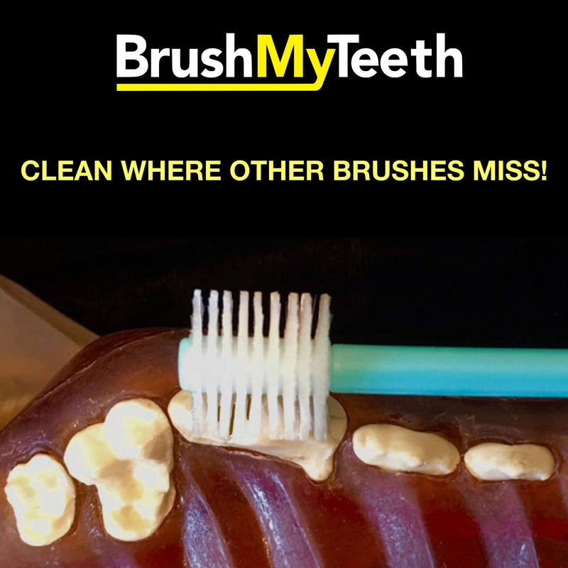 Brush My Teeth Big Dog Toothbrush, Rounded Brush Head with Soft Flexible Bristles for Safe and Gentle Brushing for Dogs, Any Large Breed or Puppy, Daily Brushing Adds Years of Healthy Life - PawsPlanet Australia
