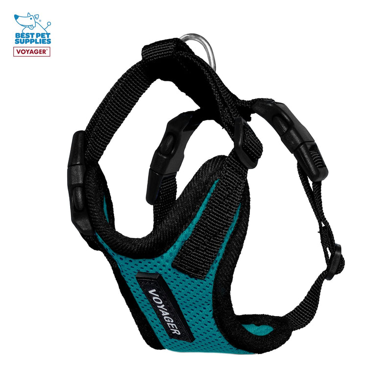 Voyager Step-in Lock Adjustable Cat Harness w. Cat Leash Combo Set with Neoprene Handle 5ft - Supports Small, Medium and Large Breed Cats by Best Pet Supplies - Turquoise/Black Trim, XXS - PawsPlanet Australia