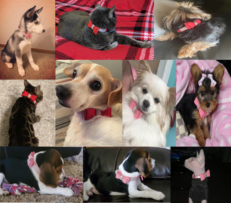 Pink Rhinestone Dog Collar XS, 2-Pack Bling Cat Collar Soft Suede Glitter Diamond Jewelry Crystal Girl Puppy Collar with Bow for XXS XS Small Medium Female Dogs & Kitten (XSmall) P XS(Neck 8"-11") - PawsPlanet Australia