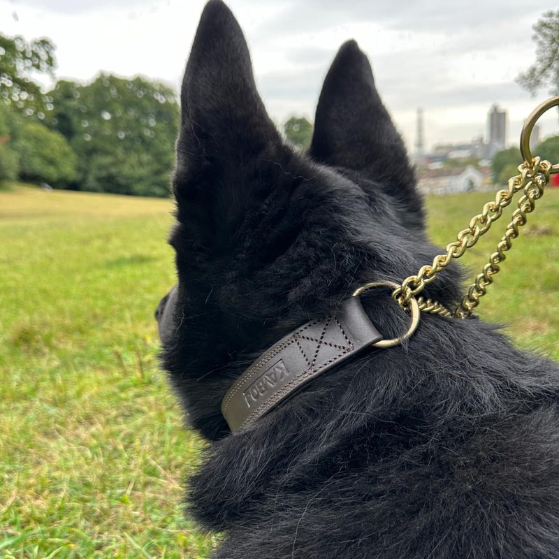 k9 Handmade Leather Martingale Collar for Dogs 100% Brass Hardware Suitable for Medium, Large, Extra Large Breed Dogs Training. Includes Leather Apple Airtag Dog Collar Pocket. (Medium) - PawsPlanet Australia