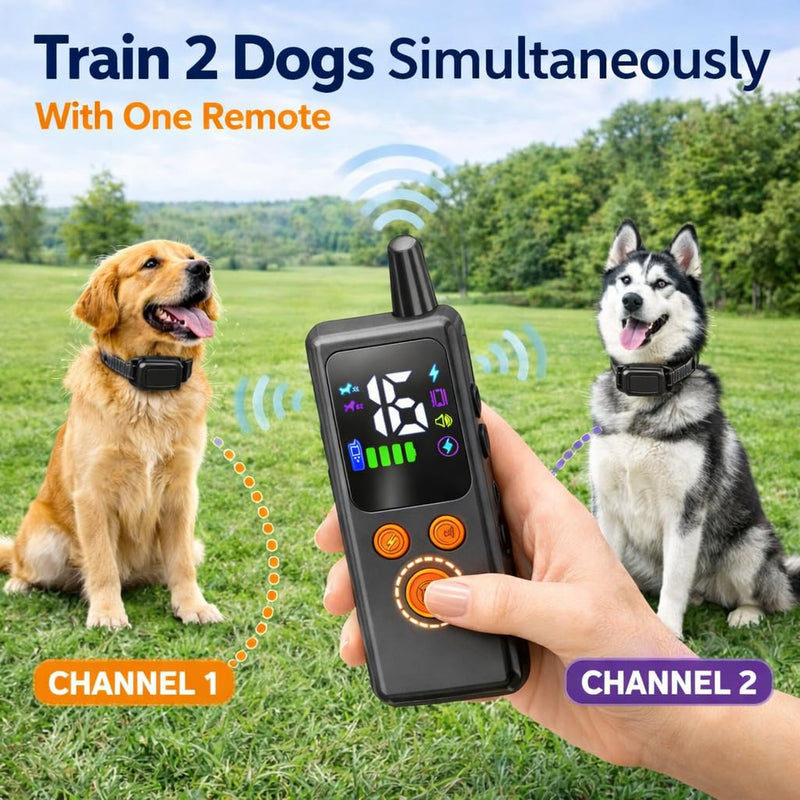 Dog Training Collar with Remote - 5000ft Waterproof Dog Shock Collars 2 Dogs for Large Medium Small Dogs Rechargeable E Collars for Dogs Training with Beep Vibration Humane Shock(1-16) Mode 1 in 2 - PawsPlanet Australia