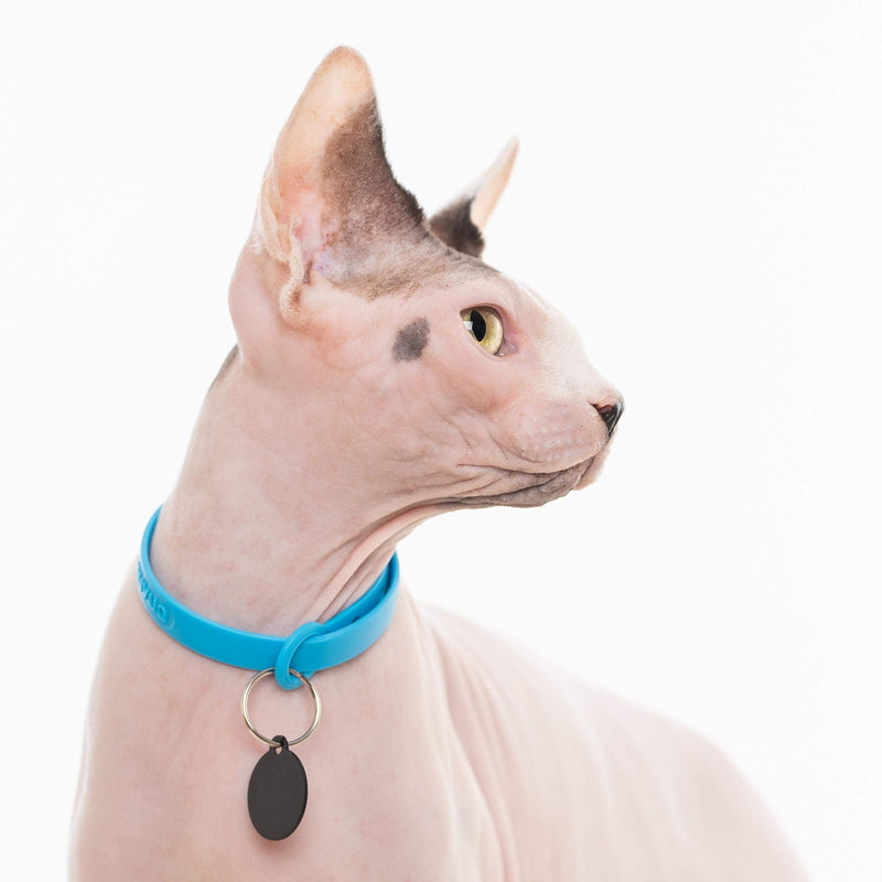Comfortable, Soft and Light Cat Collar with Breakaway Snap Button (Blueberry Blue) Blueberry Blue - PawsPlanet Australia