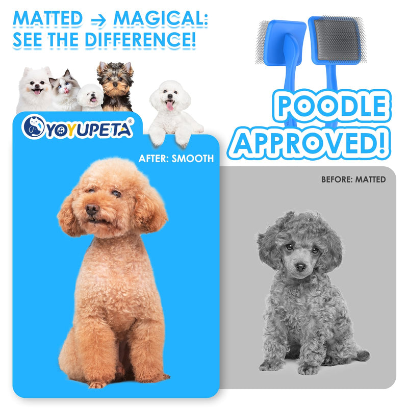 Large Slicker Brush for Dogs - 3PC Pet Grooming Kit - Undercoat Rake & Stainless Comb | Long Pins Remove Mats on Poodles, Golden, Labradoodles | Thick Coat Deshedder for Dogs, Cats, Blue - PawsPlanet Australia