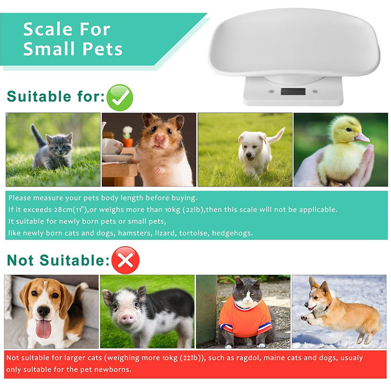 Digital Small Animals Scales for Weighing with Tape Measure, Puppy Whelping Scale Weigh Your Kitten, Rabbit with High Precision, Multifunction Electronic Baby Scales for Small Dogs Cats Crawl Pet Pet Scale&Tape - PawsPlanet Australia