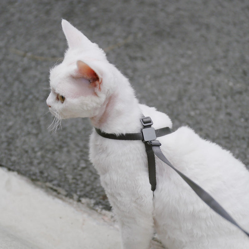 Cat Harness Escape-Proof Anti-Choking Adjustable Nylon Harness Lightweight with Anodized Aluminum Buckle, Ideal for Cats Outdoor Walking and Training, IDA Award (Blush Pink, S (13.8")) S (13.8") Blush Pink - PawsPlanet Australia