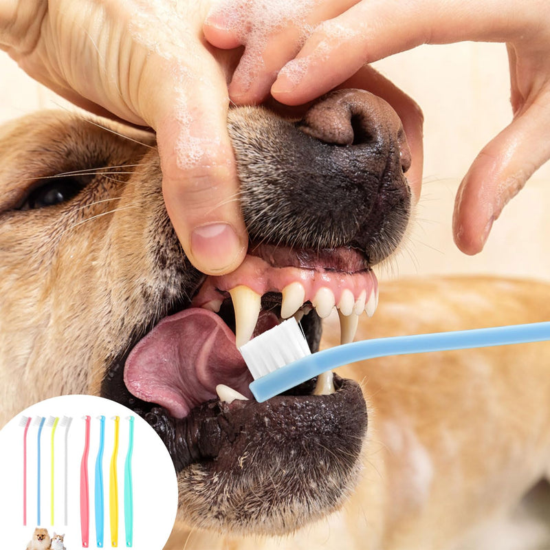 8pcs Small Dog & Cat Toothbrush, 2 Styles Soft Bristle Kitten Teeth Cleaning Brush Micro Head Pets Toothbrush Dental Care Supplies Accessories for Puppy Kitty Reduce Tartar Formation & Bad Breath - PawsPlanet Australia