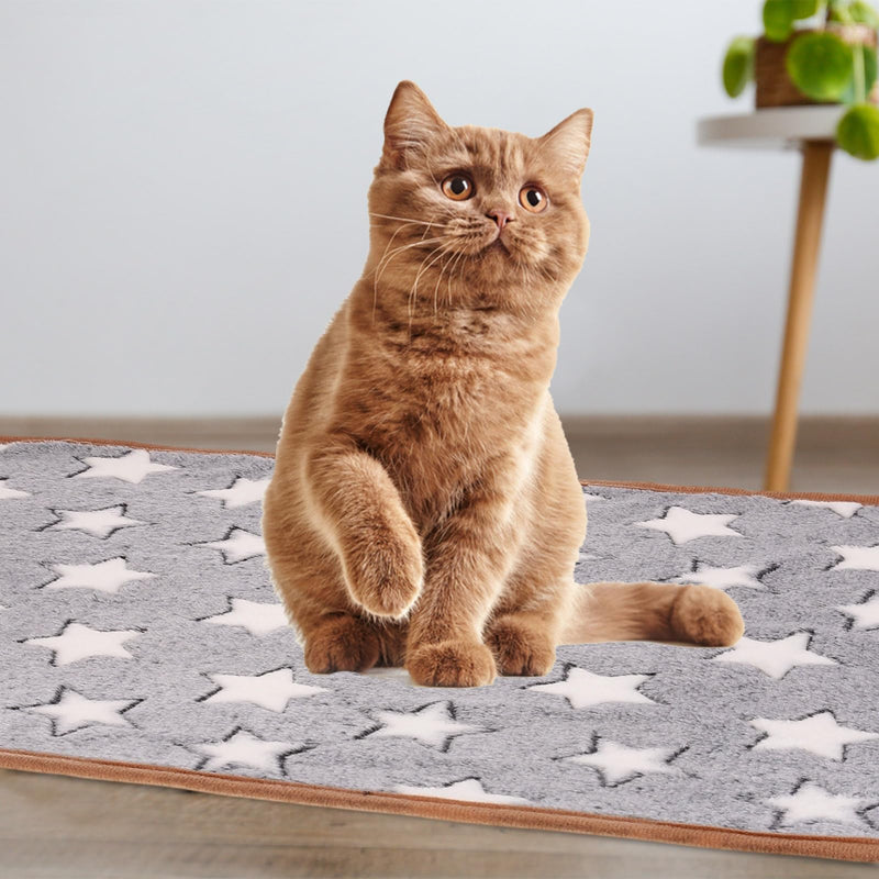 Pet Blanket, Medium Soft Fluffy Flannel Star Printed Throw Blanket, Scratch Proof Furniture Protector Cover 30x42 Inches, (Blue, 1 Pack 3), Intended for Dog/Cat Blue - PawsPlanet Australia