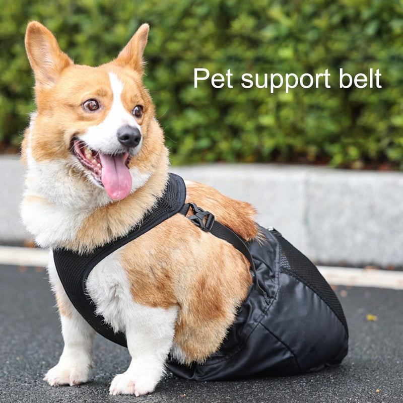 Drag Bag for Paralyzed Pets, Indoor Dog Wheelchair Alternative for Disabled Back Rear Legs Dog, Protects Chest and Limbs, Durable Nylon Breathable and Comfortable (L) L - PawsPlanet Australia