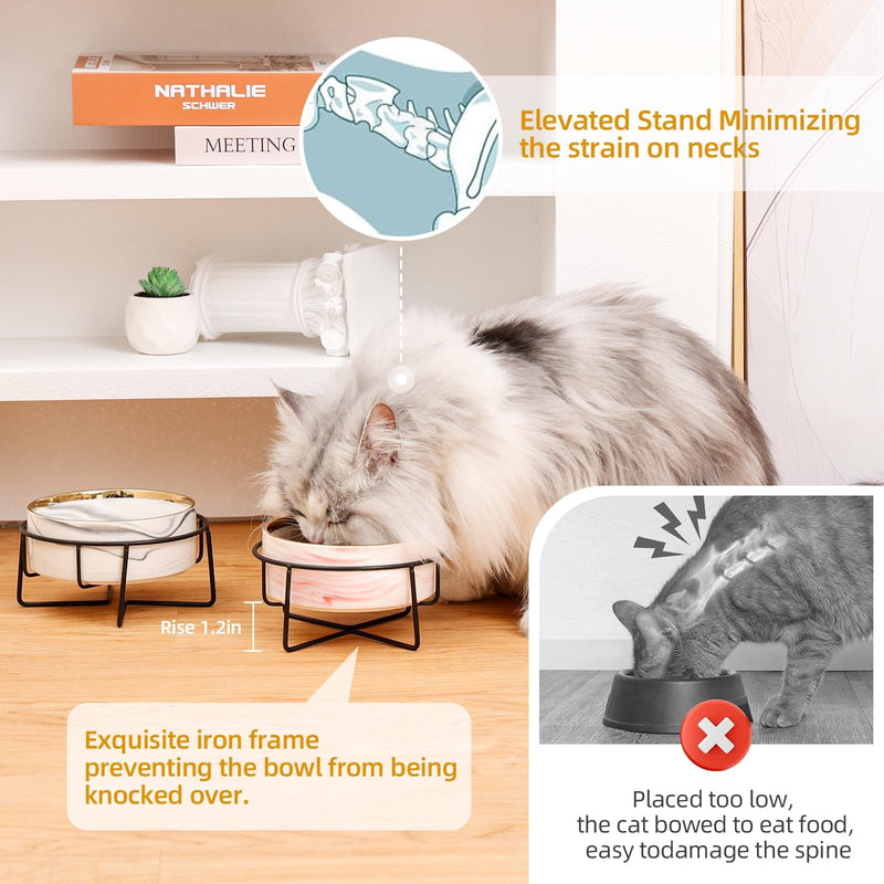 Dazzling Ceramic Elevated Cat Bowls, Dog Bowls, Pet bowls, Dog Cat Food Water Bowl, Raised Cat Food Bowls, Cat Bowls for Indoor, Dog Bowl stand, Pet bowl (Pink) Pink - PawsPlanet Australia