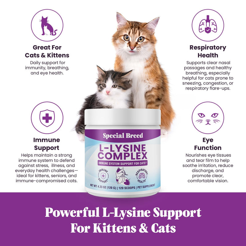 Special Breed L-Lysine for Cats and Kittens – Immune, Respiratory and Eye Support – Cat Sneezing and Runny Nose Relief – Lysine Powder with Prebiotics, Krill, Bone Broth and DMG – 120 Servings