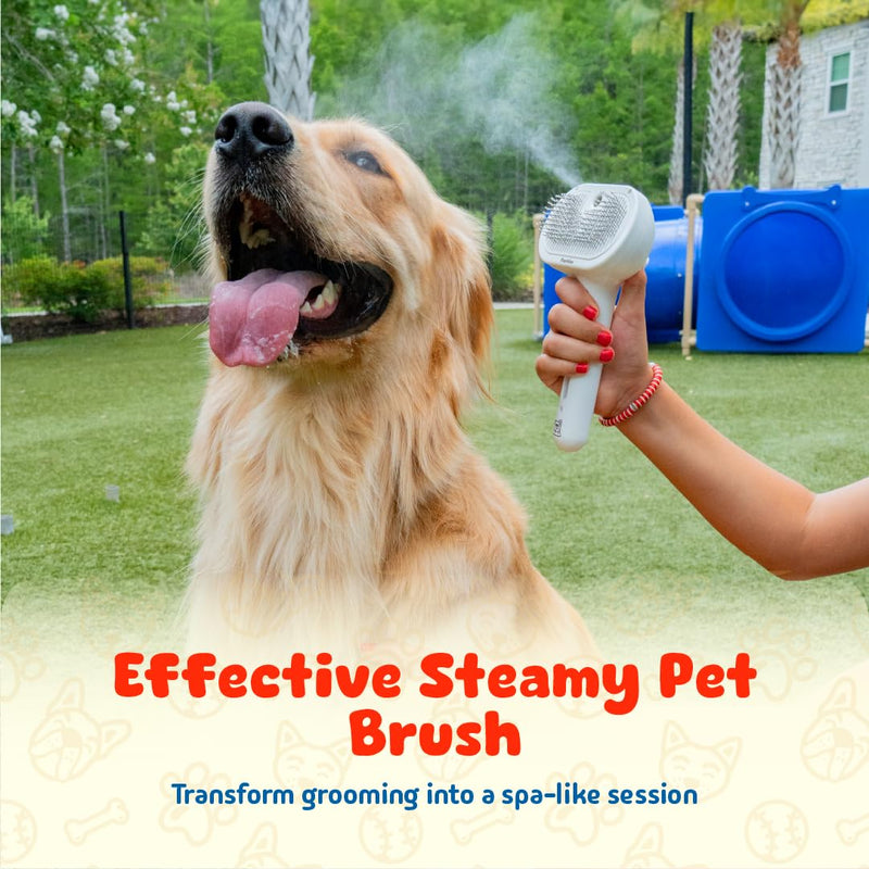 cat steam brush, misty defur comb, steamer hair brushes for indoor cats and other pets (Dogs, rabbit), groomer for shedding, massage, self-cleaning, anti-static, rechargeable grooming tool - PawsPlanet Australia
