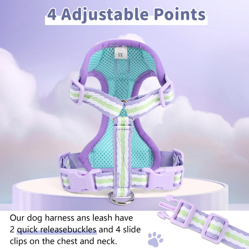 No Pull Dog Harness and Leash Set,Adjustable Dog Vest Harness for Small Medium Large Size Dogs,Breathable and Soft Escape-Proof Puppy Harness with 2 Buckles Purple XS Extra Small - PawsPlanet Australia