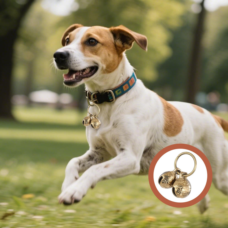 Copper Bell for Dog Collar, 4 PCS Brass Dog Bells Extra Loud Collar Bell for Pet Tracking Anti Lost Training Pets Pendant Accessories Anti Theft Bells for Little Dogs & Cats - PawsPlanet Australia