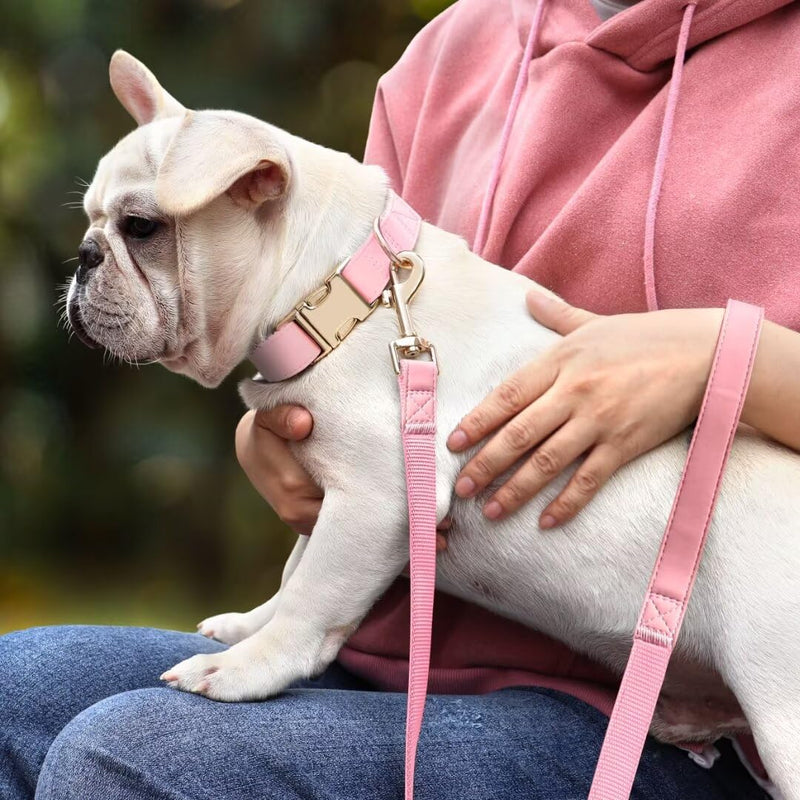 PET ARTIST PU Leather Dog Leash, Colorful Leather Leash 5ft by 3/4in, Sof Nylon Padded Durable Dog Lead with Aluminum Hook, Walking and Training Pet Leashes for Small Medium Dogs,Pink Pink - PawsPlanet Australia