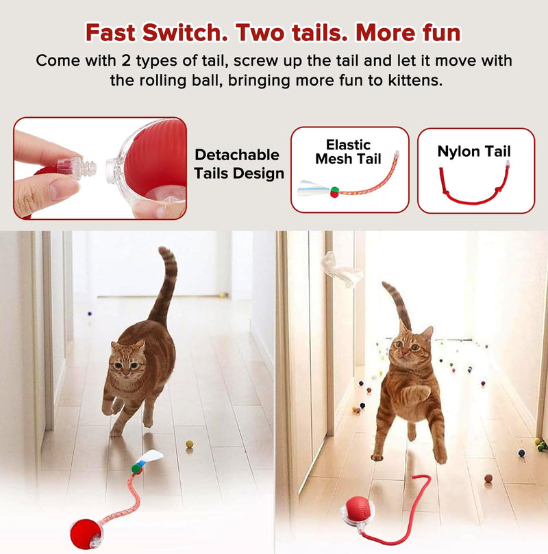 Interactive Cat Toys for Indoor Cats, Motion Activated Cat Ball with 3 Speeds, 2 Replaceable Tails, Safe Material Kitten Toys, USB Charging, 360° Smart Rolling Ball for Bored Adult Cats and Dogs - PawsPlanet Australia