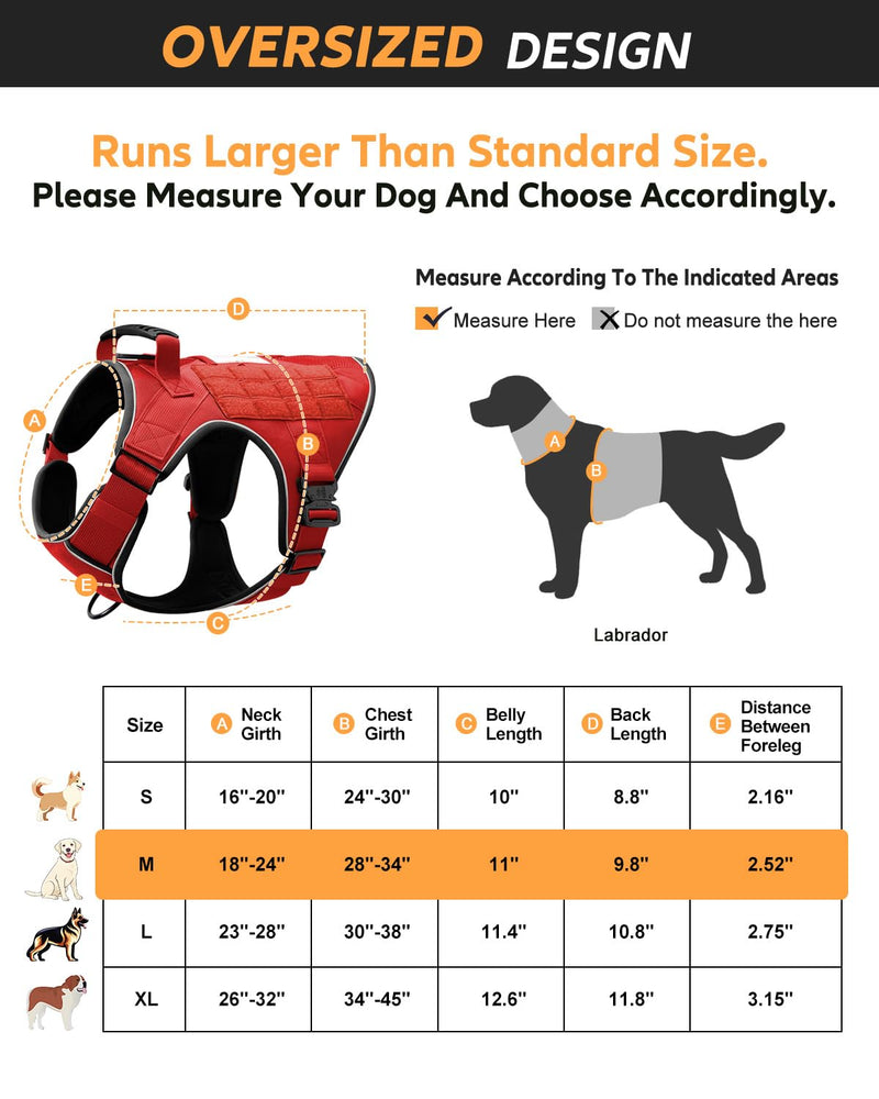 No Pull Reflective Service Dog in Training Vest Harness for Medium Large Dogs, Adjustable Heavy Duty Padded Red Dog Harness, with Front Clip and Metal Buckles Do Not Pet for Training, Hiking Medium (Oversized) Red(Harness and Leash Set) - PawsPlanet Australia