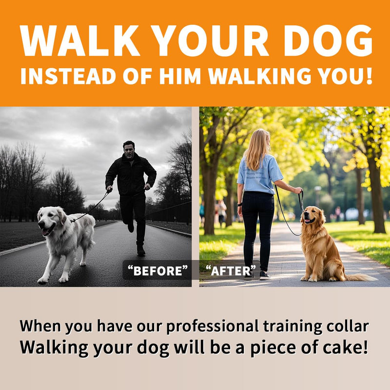 Dragon Bone Training Collar - Anti-Pull No-Choke Adjustable Slip, Durable Dog Collar for Walking, Running, and Pet Leash Training, Medium Dogs,(Medium?20in x 3mm(Neck max 18in)) Medium?20in x 3mm(neck max 18in) - PawsPlanet Australia