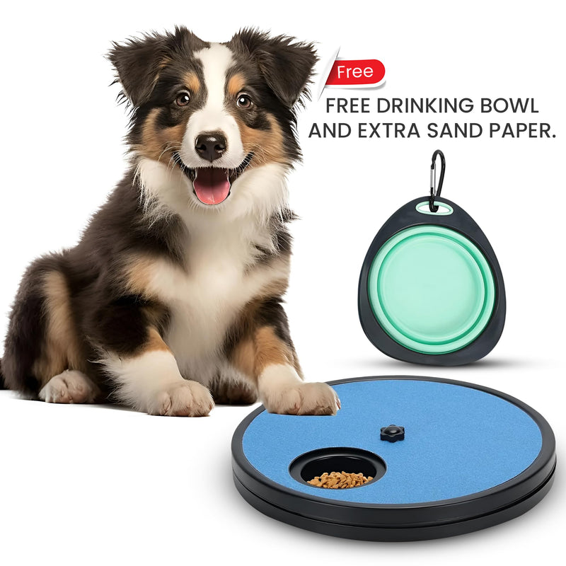Dog Nail Scratch Board/Dog Scratch pad for Nails/Scratch Board for Dogs with Treats/File for Dogs/Dog Nail File Toy/Dog Nail File Board. - PawsPlanet Australia