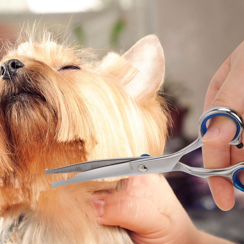 Curved Dog Grooming Scissors with Safety Round Tips, Light Weight Professional Pet Trimming Grooming Shears 4CR Stainless Steel for Nose Hair,Ear Hair,Face Hair,Paw Hair for Dogs and Cat - PawsPlanet Australia