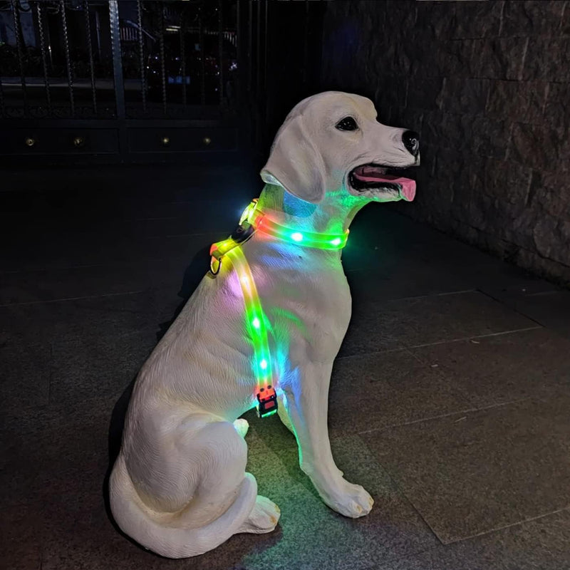 Light Up Dog Harness for Medium Dogs Lighted Dog Harness Rechargeable Waterproof Illuminated Glow in The Dark Light up Dog Vest LED - PawsPlanet Australia
