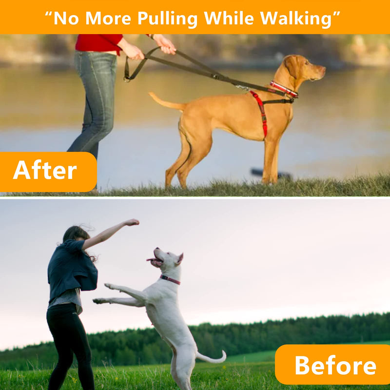 Dog No Pull Collar, Martingale Collar for Large Medium Small Dogs (XL (Neck:20''-23'' Weight Around:90 lbs)) XL (Neck: 20"-23'' Weight: Around 90 lbs) - PawsPlanet Australia