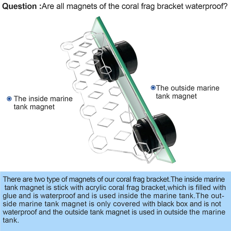 Coral Plug Holder Coral frag Rack Magnetic Holder Reef Magnets Holder for frag Racks (Coral Holder with 11 frag Plug) Coral holder with 11 frag plug - PawsPlanet Australia