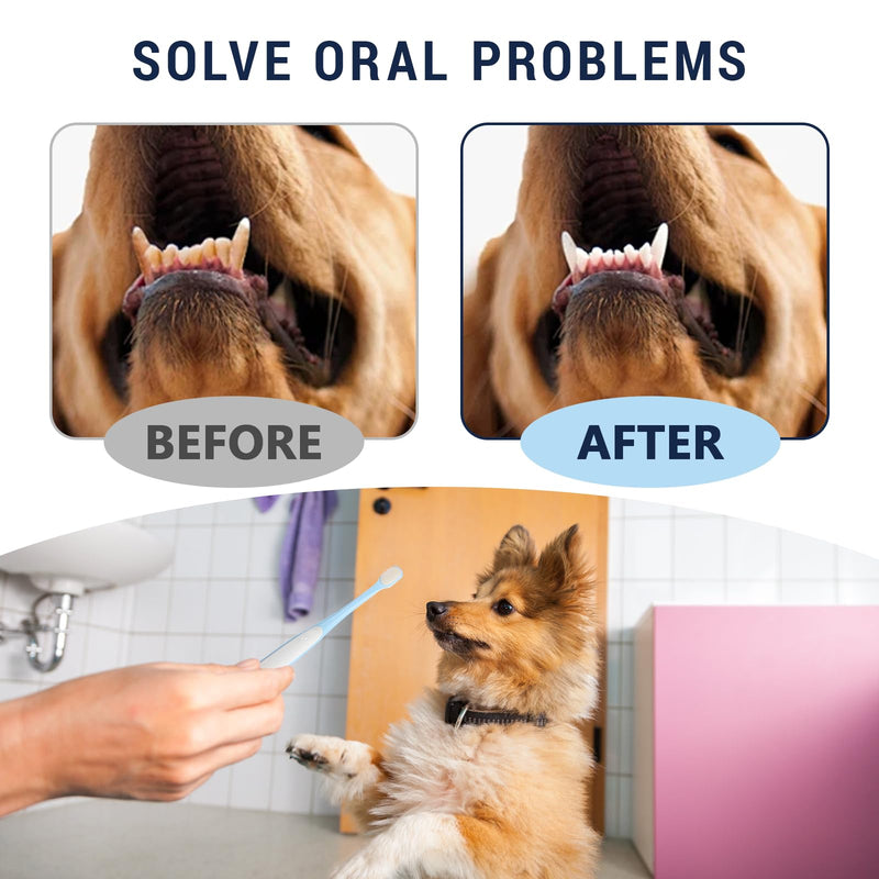 Pet Toothbrush Set for Small Dogs and Cats, 4 Pack Micro Head with Soft Bristles