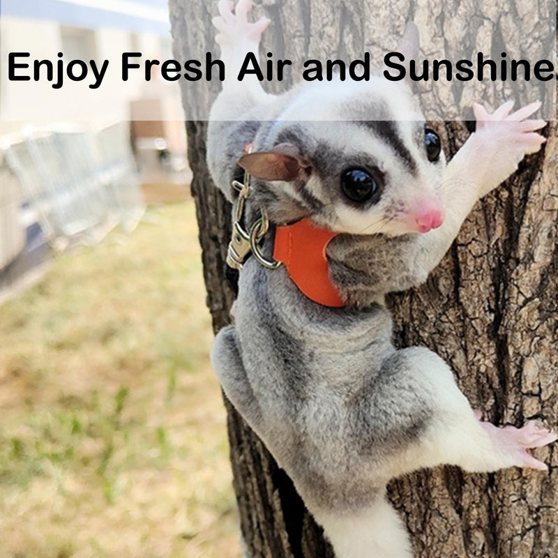 3 Pack Sugar Glider Harness and Leash Set Small Animal Training Walking Vest for Squirrel Hamster Rat Pink - PawsPlanet Australia