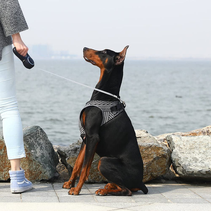 Petkit Air Fly Dog Harness (S) (Black)