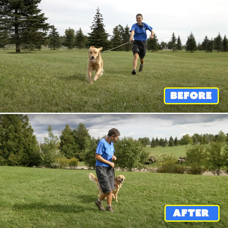 Barks No More Dog Training Device & Bark Deterrent - Stop Barking Without Hurting Your Pet - Just Point & Press!, Black - PawsPlanet Australia