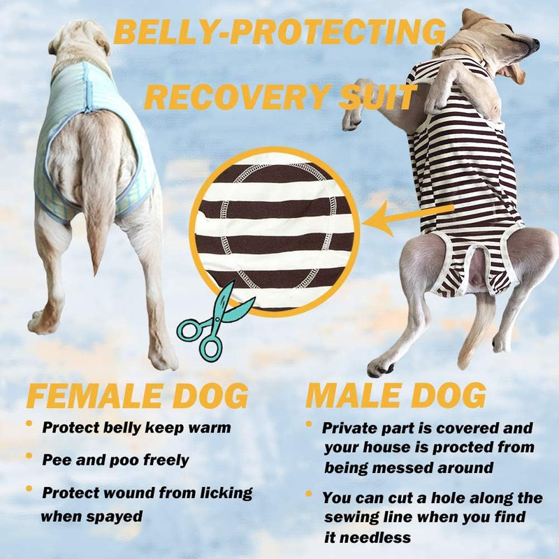 Recovery Suit Post Surgery for Large Medium Dog, Spay Recovery Suit for Male and Female Dogs, Post Surgery Dog Onesie, Substitute E-Collar & Cone (Purple Camouflage-XL) XL Purple Camouflage - PawsPlanet Australia