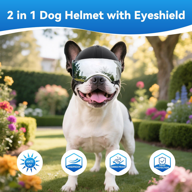 LESYPET Dog Helmet Small Breed, Dog Motorcycle Helmet Drop-Down Silver Visor for Outdoor Motorcycling Windproof Pet Hat with Ear Hole No Rivet - PawsPlanet Australia