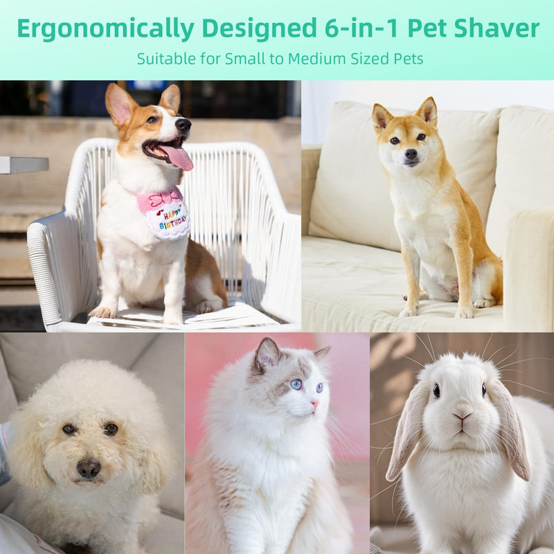 Pet Paw Trimmer, 2 Speed 4 in 1 Dog Paw Trimmers Dog Grooming Kit with LED Light, Dog Trimmer for Paws Quiet Dog Paw Trimmers for Small Dogs USB Rechargeable for Cats and Other Pets, Cyan - PawsPlanet Australia